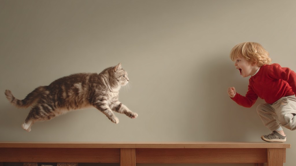 10 Warnsignale, dass etwas zwischen Katze & Kind nicht stimmt