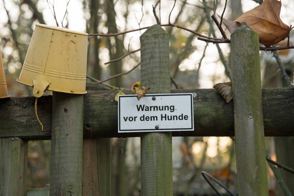 Die besten Hunderassen für den Schutz deines Zuhauses
